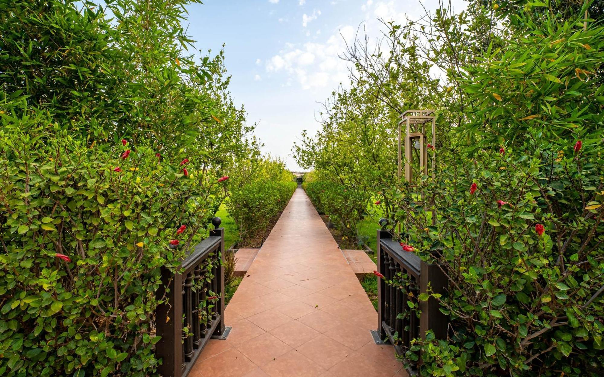 Hotel The Lemonary Marrakech Ouled Moumen Exteriér fotografie