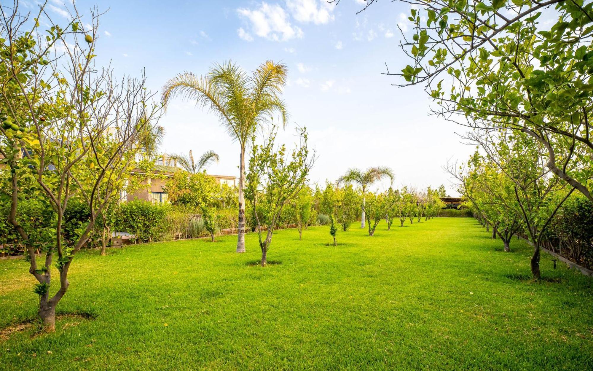 Hotel The Lemonary Marrakech Ouled Moumen Exteriér fotografie