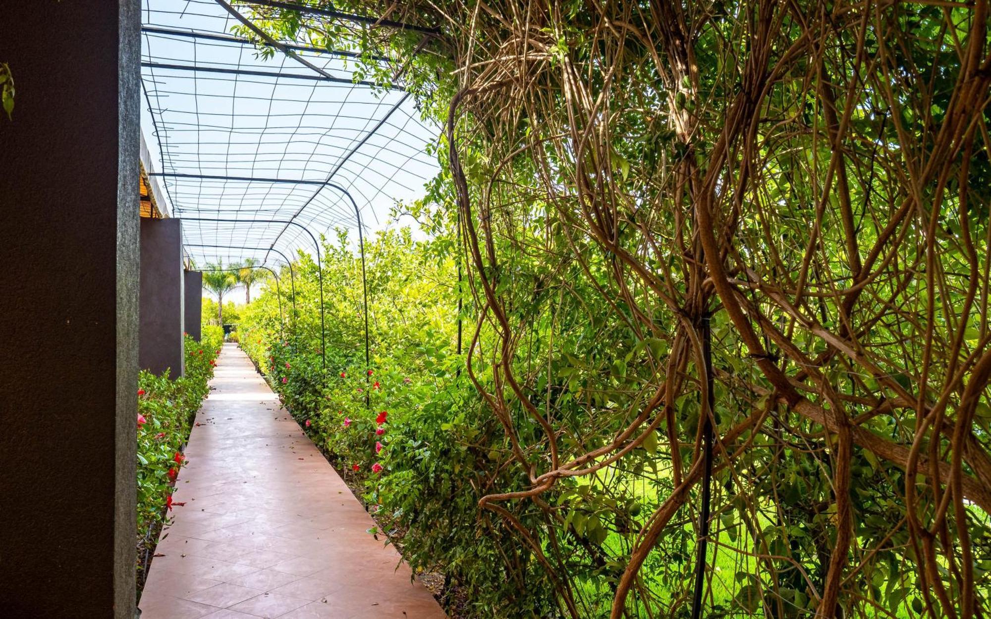 Hotel The Lemonary Marrakech Ouled Moumen Exteriér fotografie